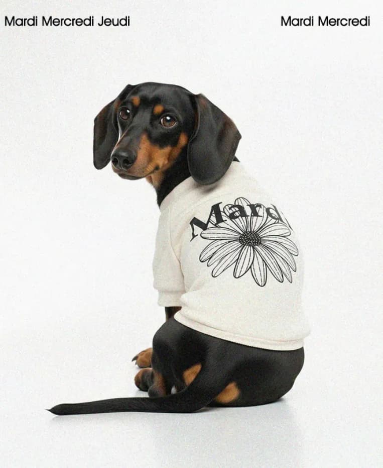 Pet Sweater